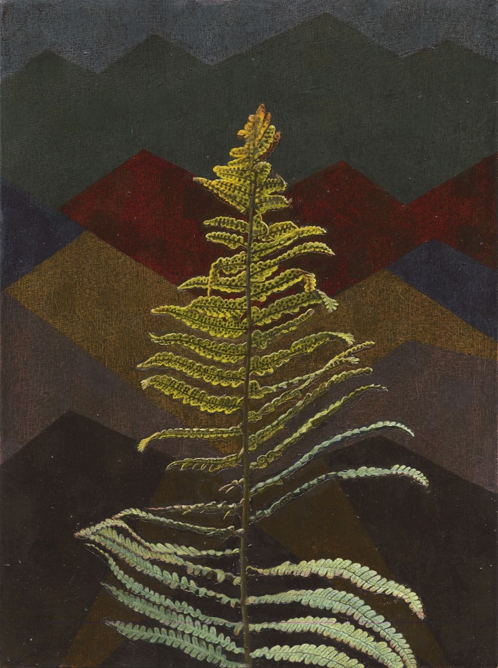 A lit up fern with a fark abstract background