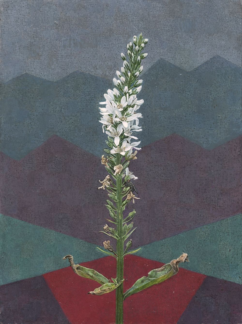 A tall white flowered plant with a fly on the side and abstract green and red background